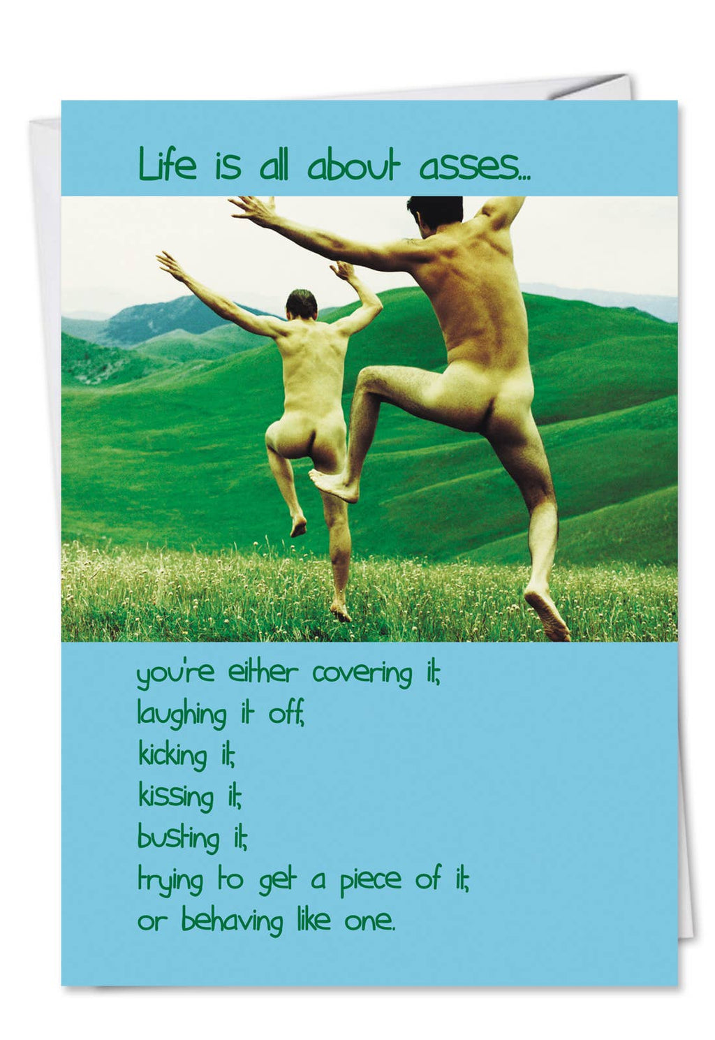 Birthday Card - All About Asses